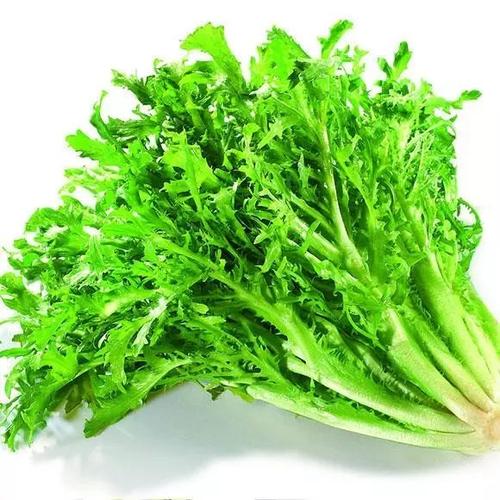 王兴国推荐营养最佳的十种绿叶蔬菜