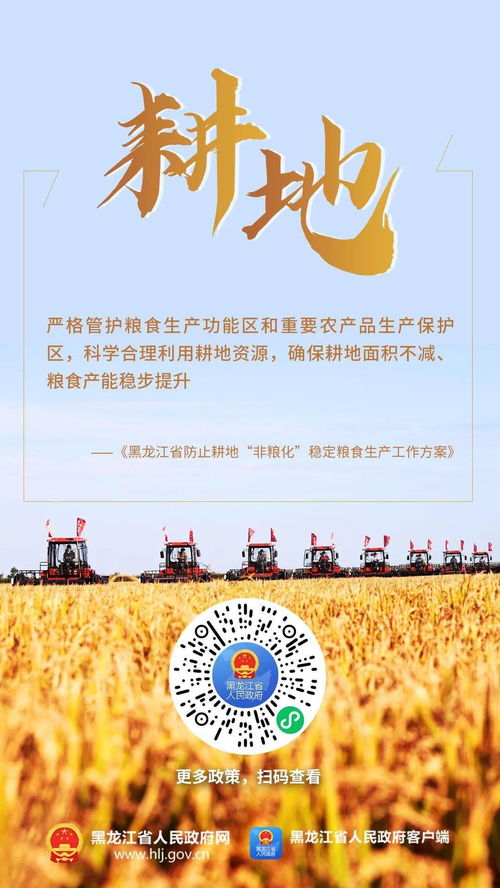 粮食总产量1573.54亿斤 黑龙江 十八连丰