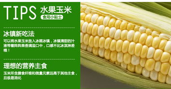 赣南农产品 新鲜 有机玉米棒甜玉米香甜多汁 五斤装